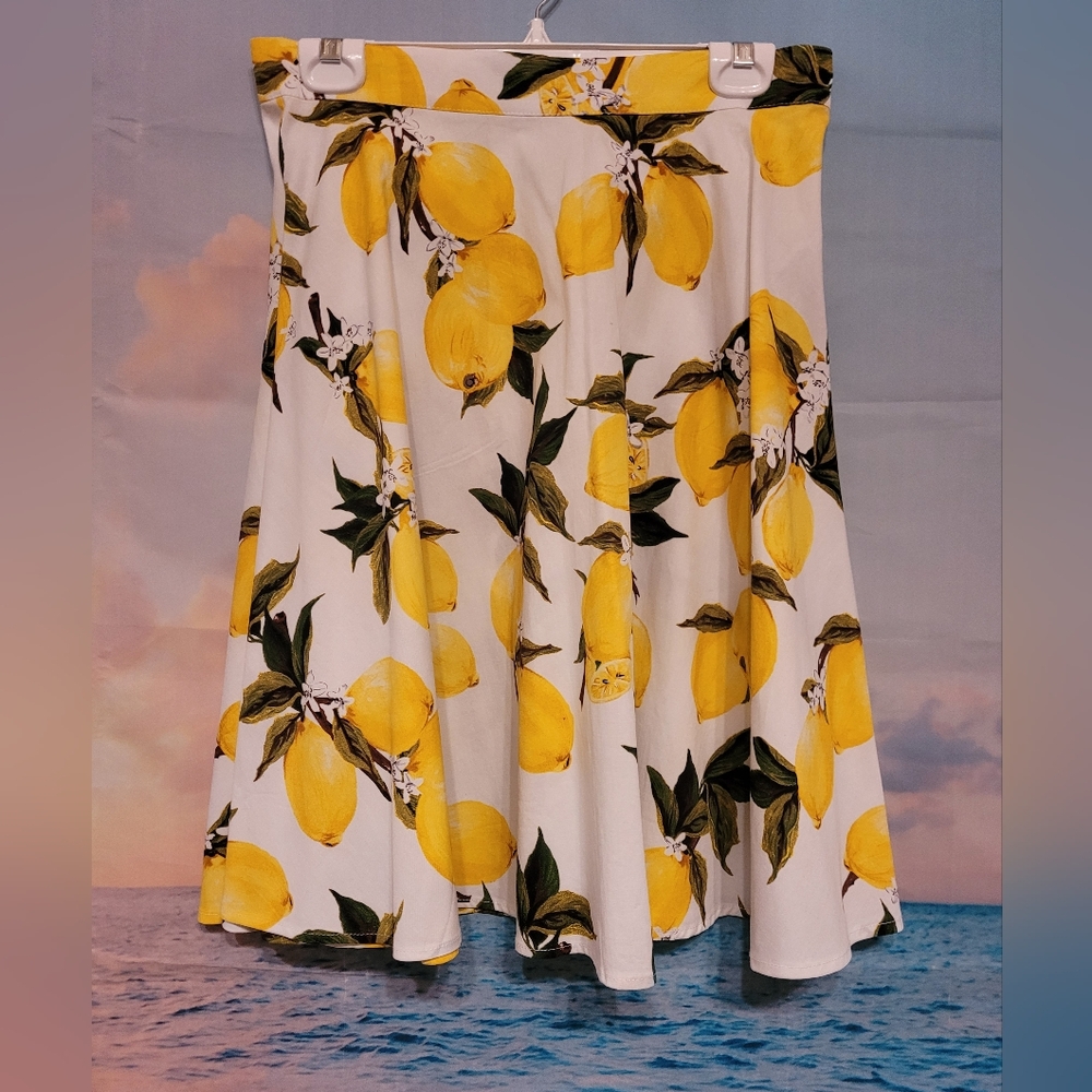 Swing Skirt ~ Small
